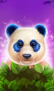 Luck of Panda: Bonus Combo
